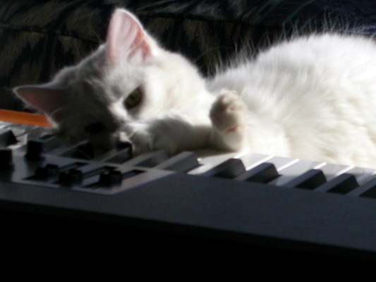 Snowball Composes by Josh Poulson Snowball Composes by Josh Poulson