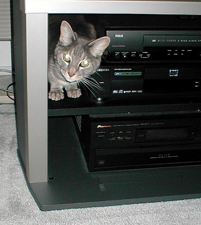 Atticus in the Stereo, 9/2/2002 Atticus in the Stereo, 9/2/2002