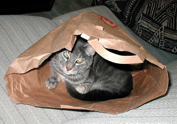 Atticus in the Bag, 9/2/2002 Atticus in the Bag, 9/2/2002