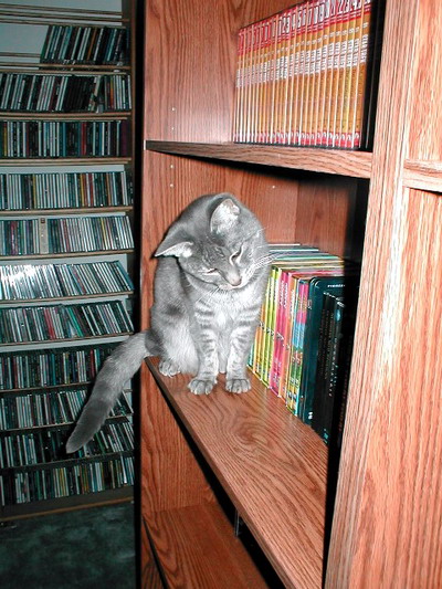 Atticus on a Bookshelf, 8/18/2002 Atticus on a Bookshelf, 8/18/2002