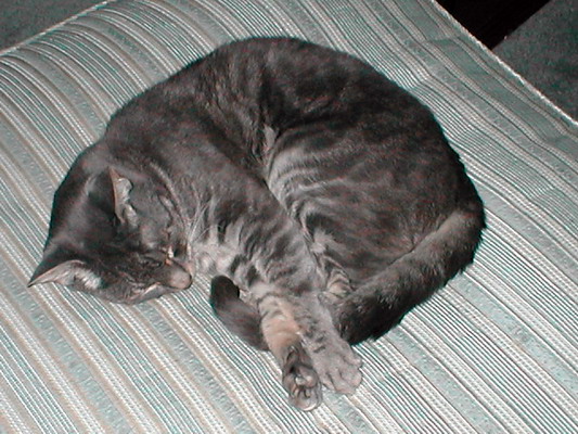 Sleeping Atticus by Josh Poulson Sleeping Atticus by Josh Poulson