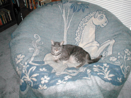 Atticus Poulson Atticus Poulson