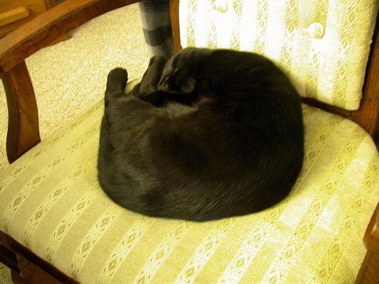 Church on a Chair by Josh Poulson Church on a Chair by Josh Poulson