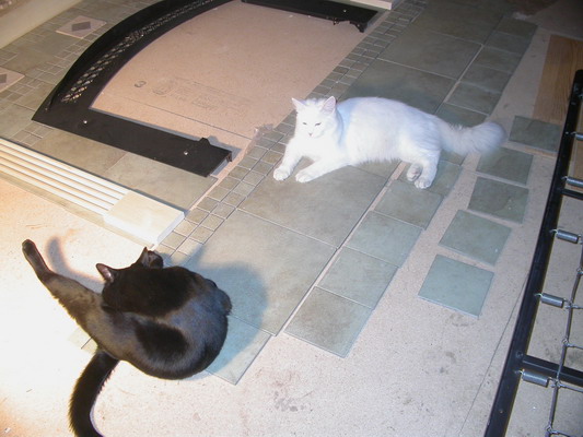 Church and Snowball on the Fireplace Template by Josh Poulson Church and Snowball on the Fireplace Template by Josh Poulson