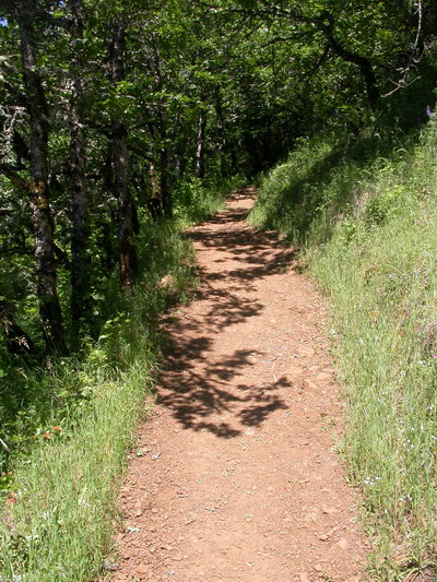 Dog Mountain by Josh Poulson Dog Mountain by Josh Poulson