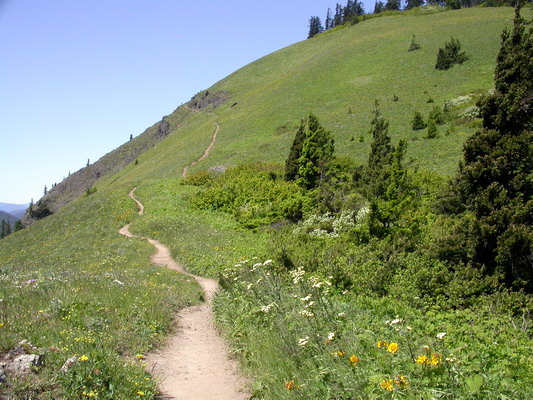 Dog Mountain by Josh Poulson Dog Mountain by Josh Poulson