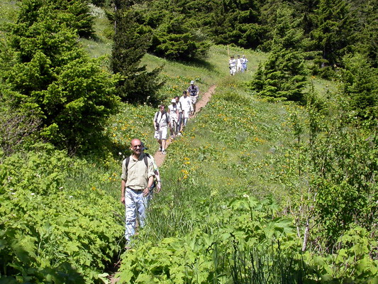 Team Building on Dog Mountain by Josh Poulson Team Building on Dog Mountain by Josh Poulson
