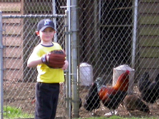 little-leaguer.jpg