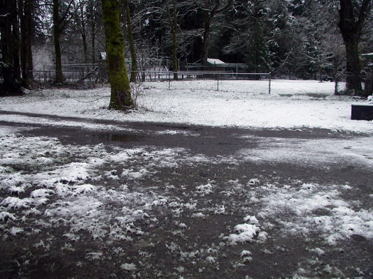 March Snow 1 by Josh Poulson March Snow 1 by Josh Poulson