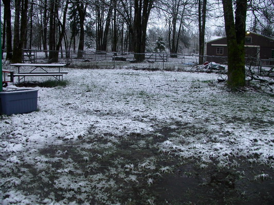 March Snow 2 by Josh Poulson March Snow 2 by Josh Poulson