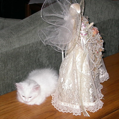 Snowball 2 and Angel by Josh Poulson Snowball 2 and Angel by Josh Poulson
