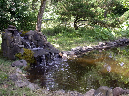 Backyard Waterfall by Misty Poulson Backyard Waterfall by Misty Poulson