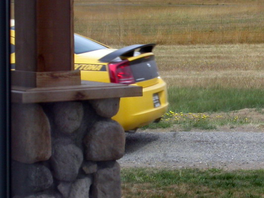 Dodge Charger Daytona Top Banana Leaving My House by Josh Poulson Dodge Charger Daytona Top Banana Leaving My House by Josh Poulson