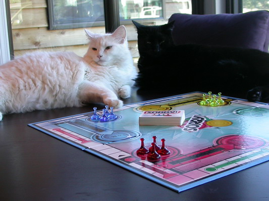 Church and Snowball Playing Sorry by Josh Poulson