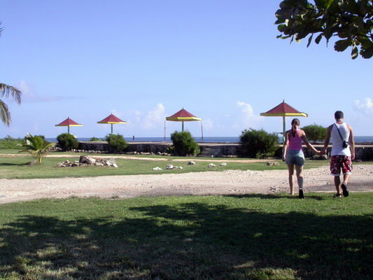 Random Jamaica Rest Stop by Josh Poulson Random Jamaica Rest Stop by Josh Poulson