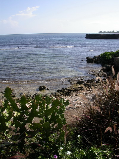 Jamaican Shoreline by Josh Poulson Jamaican Shoreline by Josh Poulson